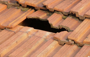 roof repair Tredunnock, Monmouthshire